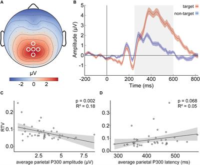 Critical Dynamics in Spontaneous Resting-State Oscillations Are Associated With the Attention-Related P300 ERP in a Go/Nogo Task